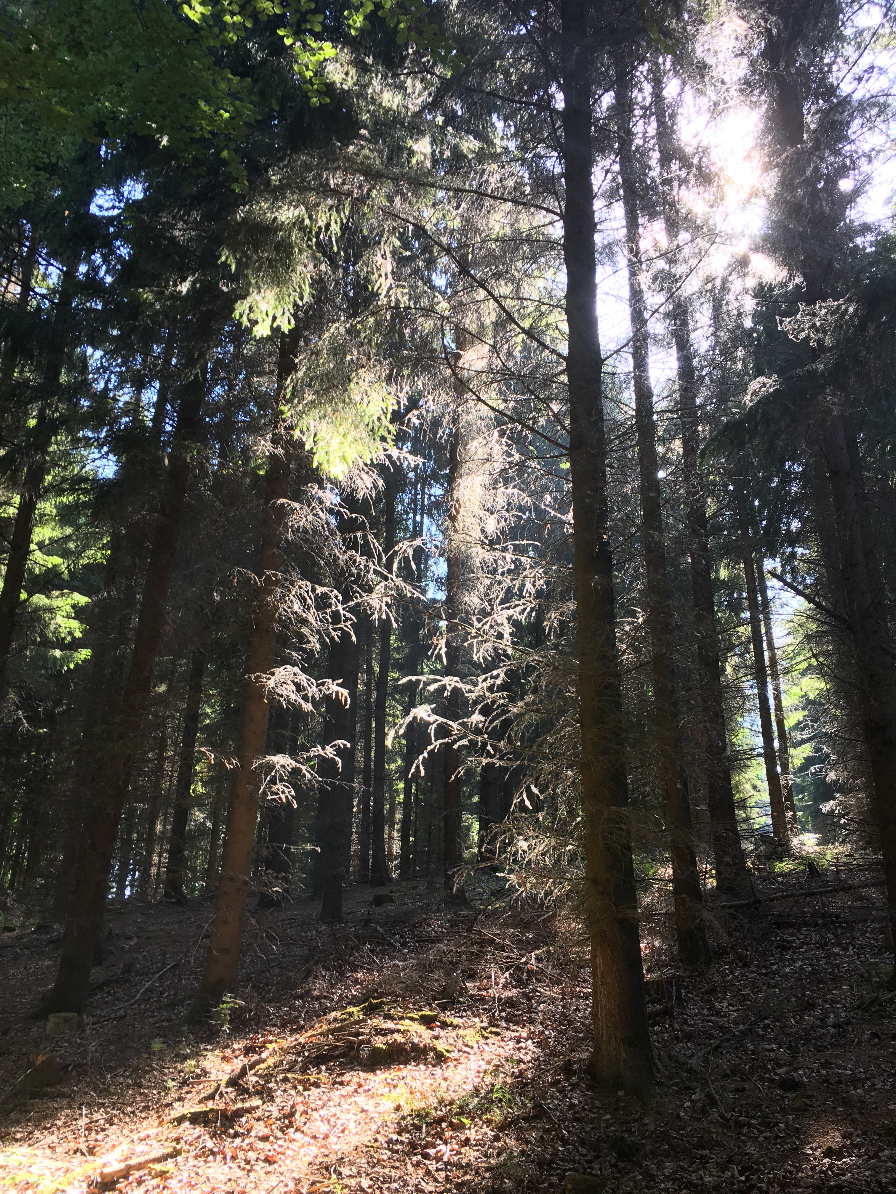 EA602B30-8302-4C6A-BFF3-018316F573F0