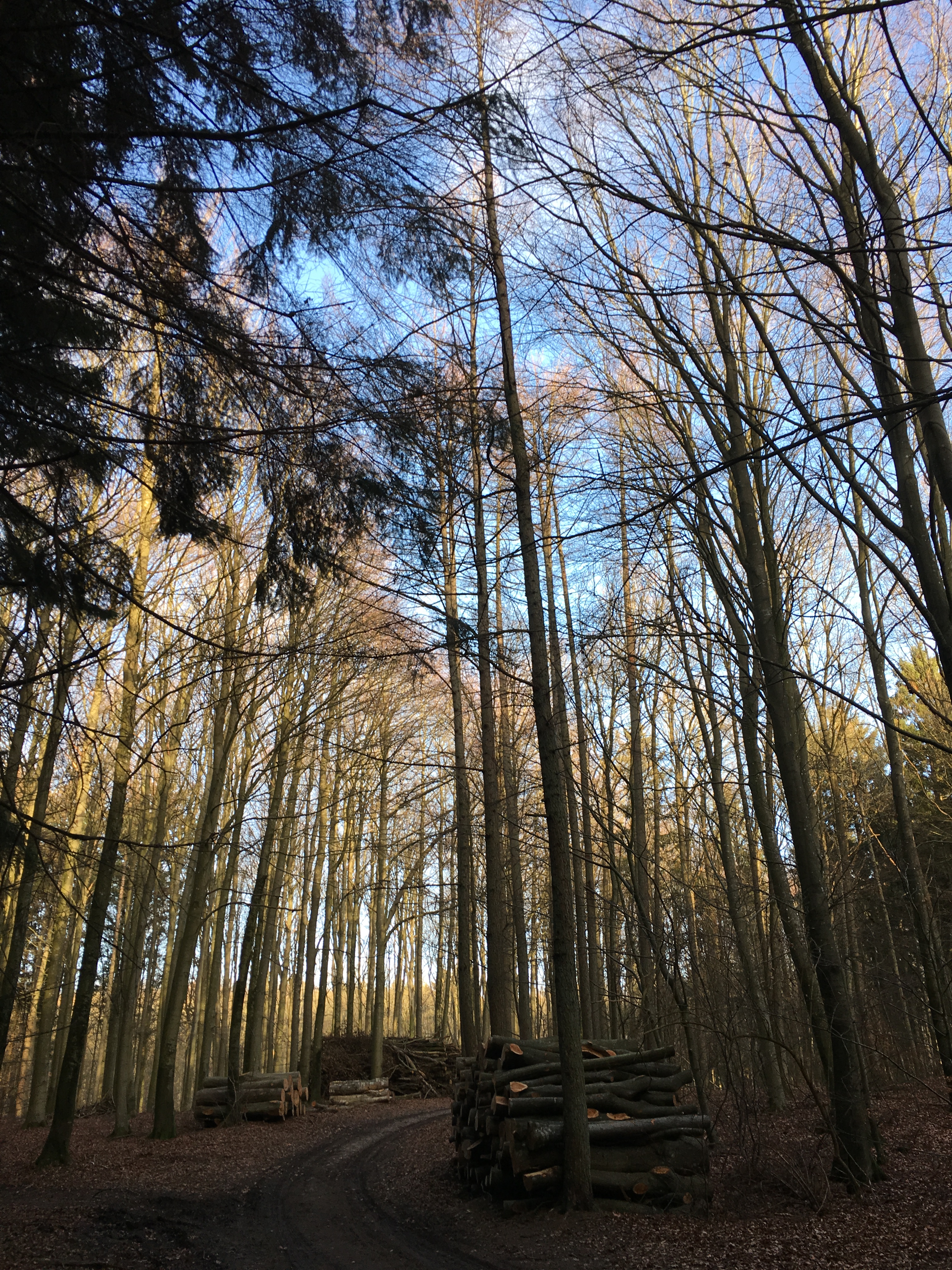 57D41882-E14A-463A-A7A7-C2C58995140E